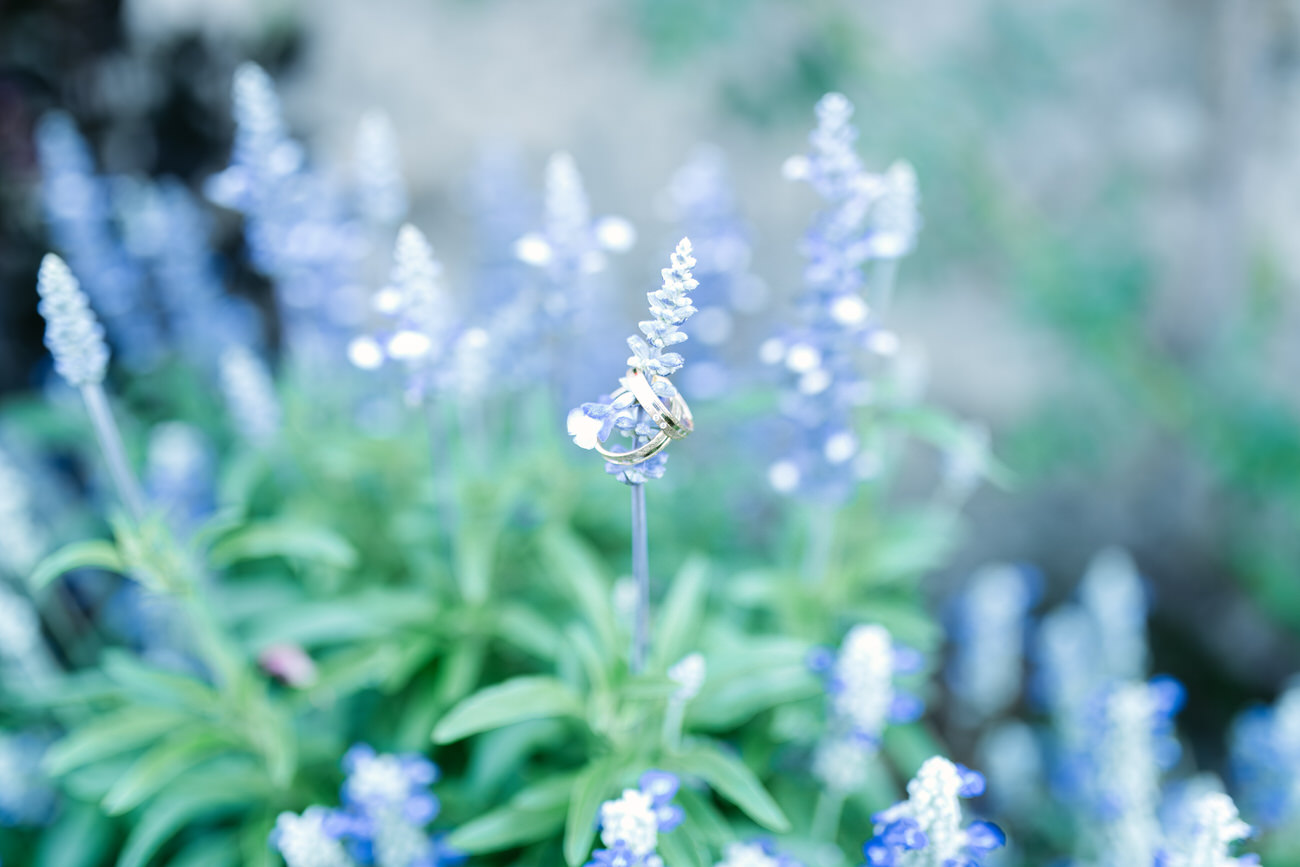 Detailfoto von goldenen Hochzeitsringen auf einer Lavendelblüte